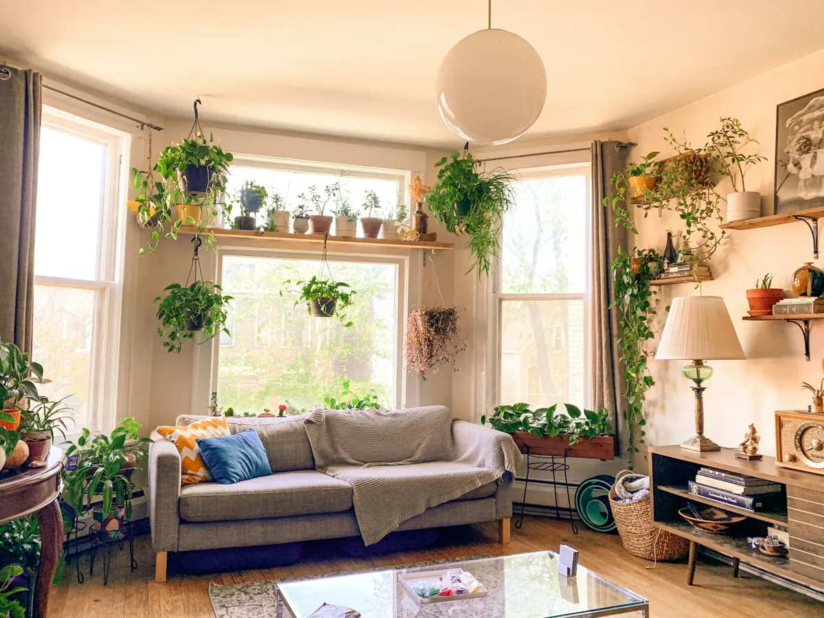 Salón con un gran ventanal lleno de plantas y un sofá con cojines