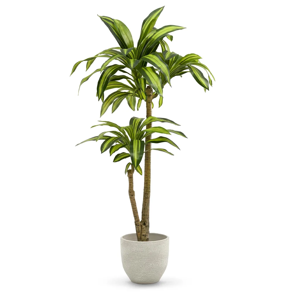 Maia Shop drácena slim artificial de 120 cm